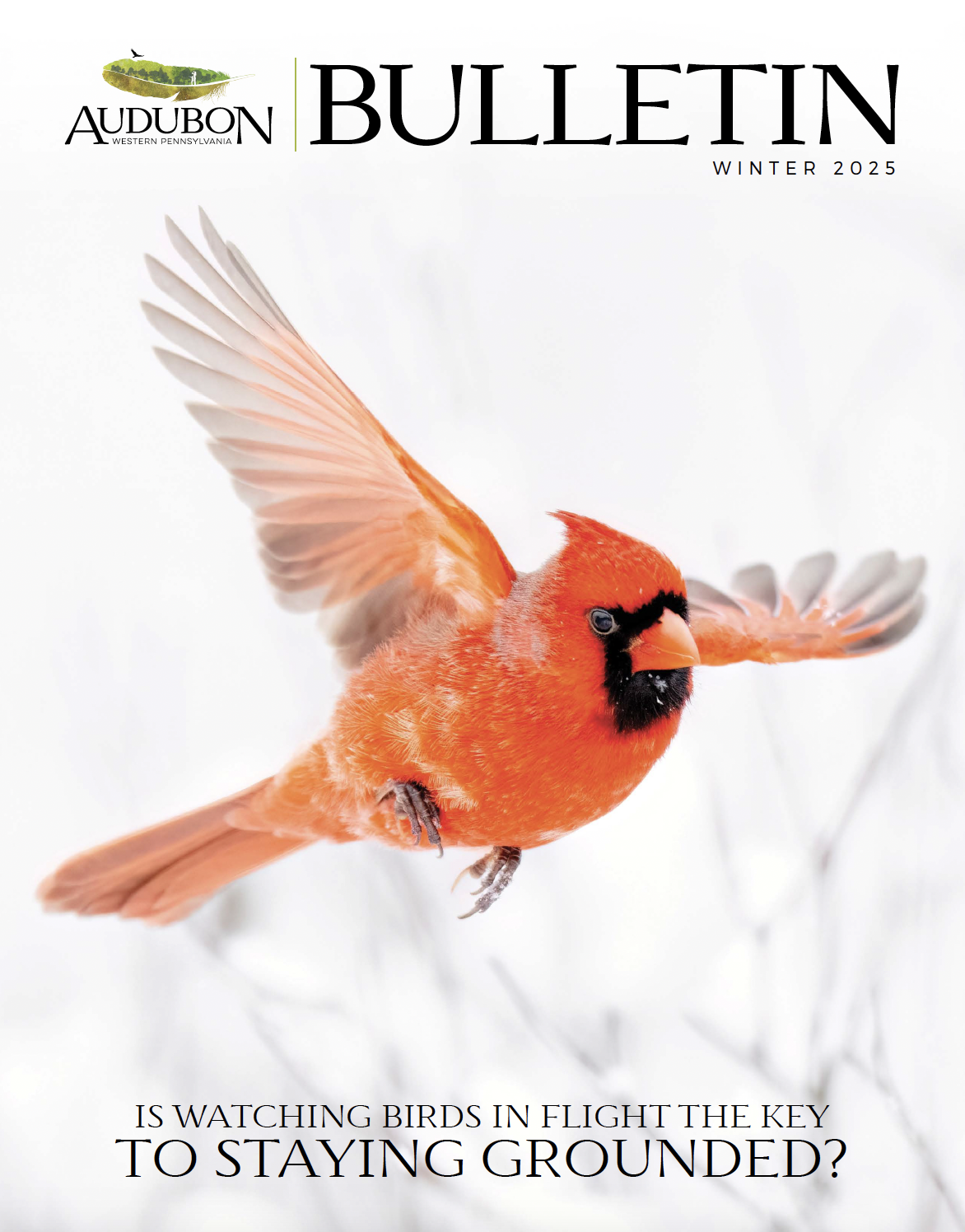 Bulletin%20cover